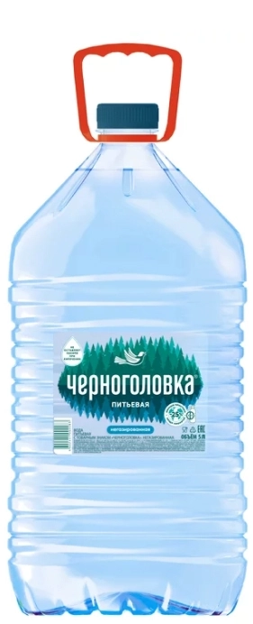 Вода питьевая Черноголовка 5 литров негазированная, пэт, 2 шт. в уп. от магазина Одежда+